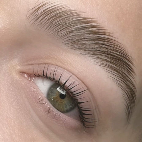 Brow Lamination and Tint